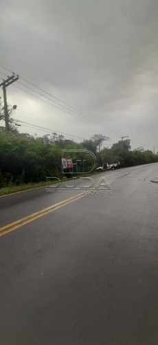 Imagem 7 de 7 de Area - Faxinalzinho - Ref: 34091 - V-34088