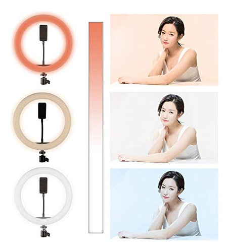 Anillo De Luz Focusfoto: 10puLG Led Regulable, Soporte Para