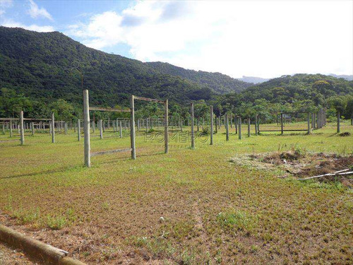 Imagem 8 de 29 de Terreno, Praia Da Lagoinha, Ubatuba - R$ 299 Mil, Cod: 76 - V76