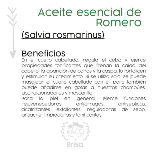 Imagen 2 de 7 de Aceite Esencial Romero 10 Ml Aceites Esenciales
