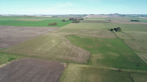 Imagen 20 de 28 de Campo 39 Has. Agrícolas Con Mejoras - Zona Dos Naciones