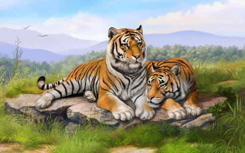 Cuadro Canvas Tigre Amor Love Familia Felino Salvaje M8