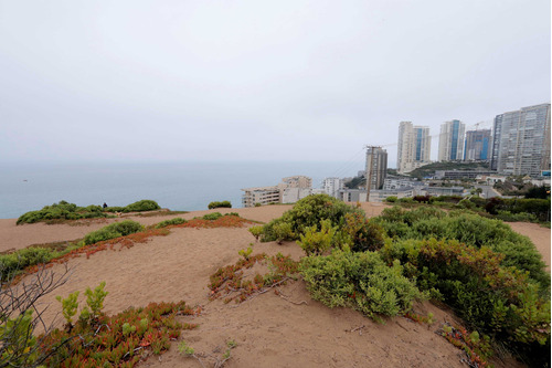 Avenida Costa De Montemar (16201)