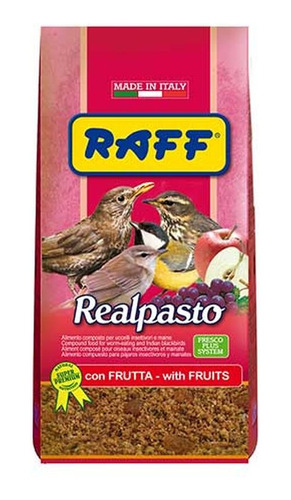 Raff Realpasto 1 Kg. Alimento Para Clarin Zenzontle