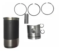 Comprar Kit Pistão Camisa E Anéis Motor Mwm D229 Aspirado