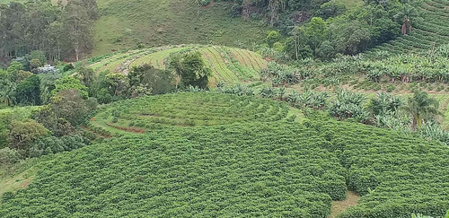 Imagem 11 de 15 de Fazenda, Para Venda Em Carangola/mg - Var1212ale