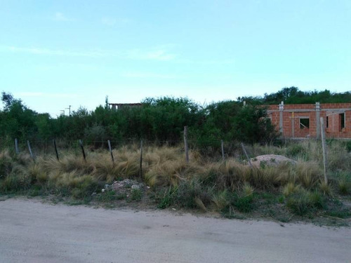 Imagen 5 de 17 de T042cb Excelente Fracción De 2.100 M2 A 400 Mts Del Río Los Sauces