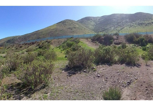 Imagen 11 de 11 de Imperdible Oportunidad De Inversión. Terreno 2 Ha
