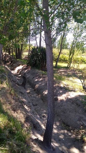 Imagen 11 de 13 de Finca 2ha+casa Excelente Ubicación, A 10min De Gral Alvear