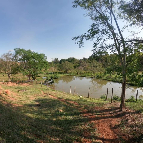 Imagem 25 de 27 de Chácara 31mil M2, Rica Em Água Com Tanques Com Peixes, Casa Sede, Área Gourmet Com Churrasqueira E Piscina, Playground, Wifi, Ótima Localização - Ch00250 - 70806333