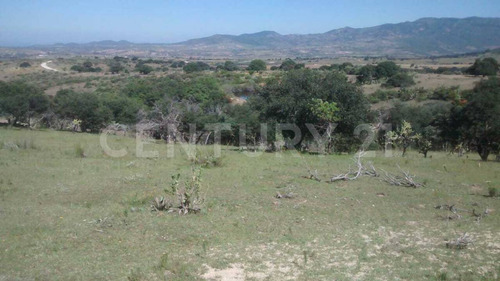 Terreno En Venta En Comanja De Corona En Lagos De Moreno Jal.