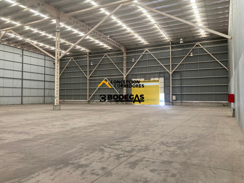 Arriendo Bodega De 1616 M2 En Pi Lo Boza.