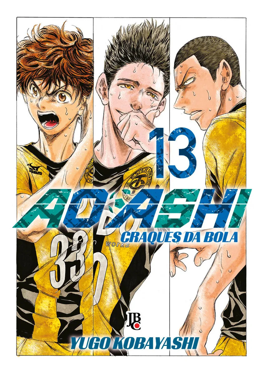 Capa do volume 13