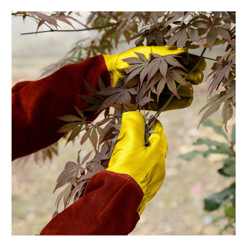 Luvas de jardinagem sem espinhos para podar roseiras cor A