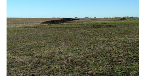 Imagen 3 de 12 de Terreno Campo En Venta Ubicado En Río Negro, Río Negro