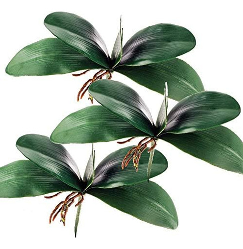 Orquídea Miracliy Phalaenopsis, Hojas Falsas, Arreglo De Pla