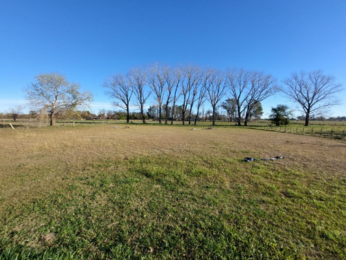 Casa Quinta Con Lote De Gran Dimension