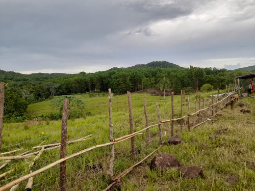 Vendo Finca 429 Tareas En Bayaguana, Ultima Rebaja (ganadera Agricola) , Solo 18 Millones