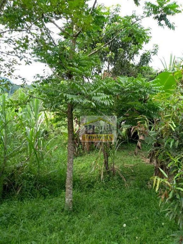 Imagem 26 de 30 de Chácara Com 3 Dormitórios À Venda, 3500 M² Por R$ 290.000,00 - Três Barras - Pedro De Toledo/sp - Ch0135