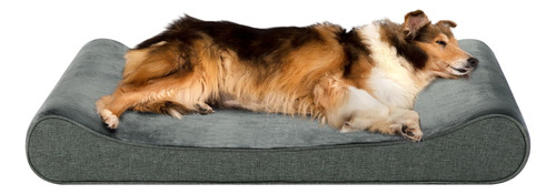 Casa Paw Cama Ortopédica Xl Para Perros Extra Grandes, Camas