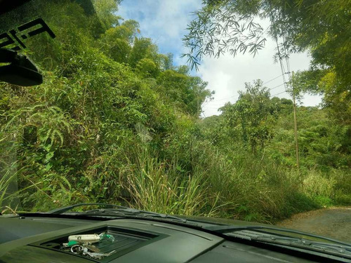 Imagen 10 de 11 de Se Vende Terreno 1000m2 Oripoto Municipio Hatillo