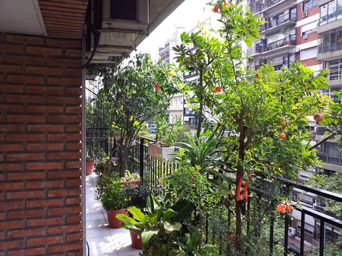 Imagen 3 de 13 de Departamento - Palermo