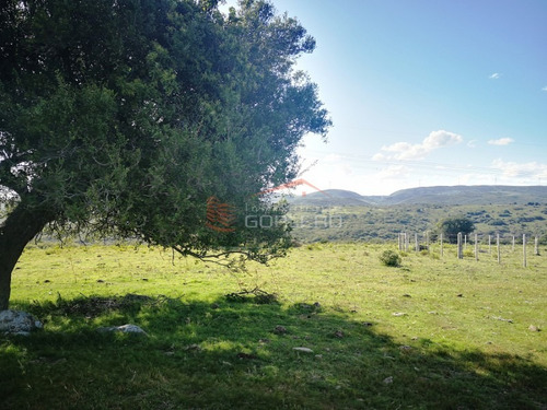 Campo Ganadero En Venta En Maldonado, A 60 Km De Punta Del Este- Ref: 26296