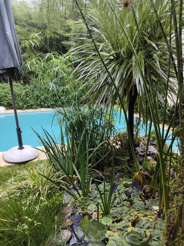 Imagen 23 de 27 de Casa - La Horqueta De Echeverría - Canning - Venta - Oportunidad