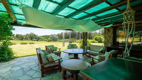 Imagen 13 de 13 de Chacra En Venta Punta Ballena 4 Dorm, 8 Has #1854