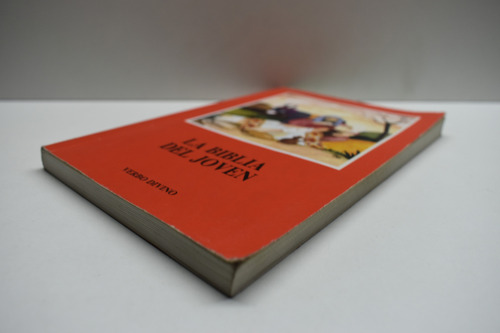La Biblia Del Joven Asociación Catequistas Alemanes C186 (Usado)