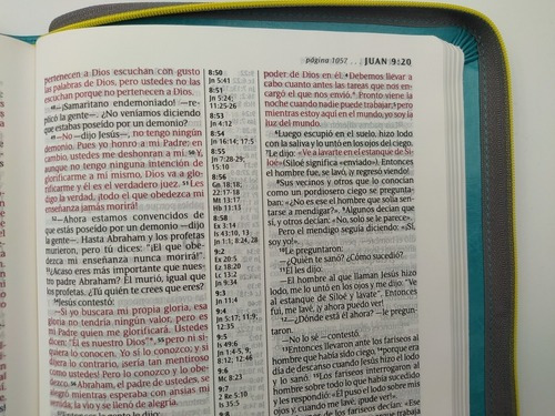 Biblia Nueva Traducción Viviente Cierre Letra Grande Verde