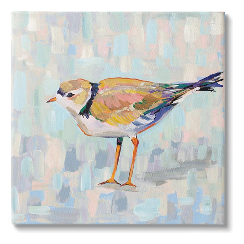 Stupell Industries Coastal Plover Abstract Patchwork Bird Ca