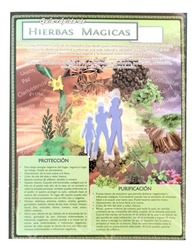 Libro Magia Con Las Hierbas Y Guía Rápida Hierbas Magicas