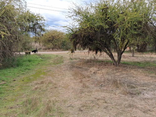 Oferta Parcela 5.000 Mt2, Talca (pencahue) Agua Y Luz