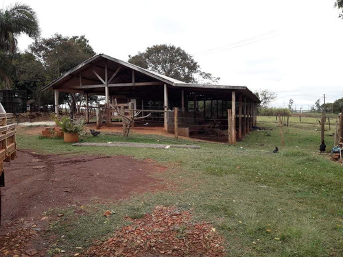 Chácara A Venda 7 Hectares Com Sobrado À 6km De Dourados