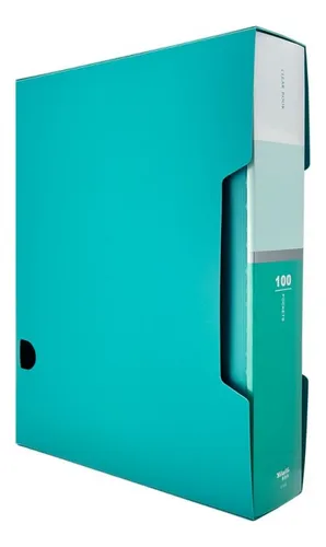 Carpeta A4 Con 100 Fundas