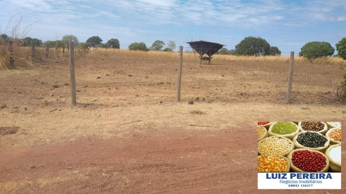 Fazenda À Venda Em Gurupi - To - De 20 Alqueirões (pecuária) - 1494