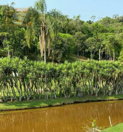 Imagem 2 de 4 de Terreno Em Taiaçupeba - Mogi Das Cruzes, Sp - 3607