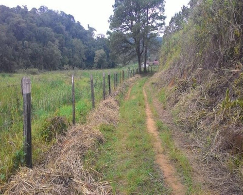 Imagem 13 de 30 de Fazenda - 0195 - 32820324