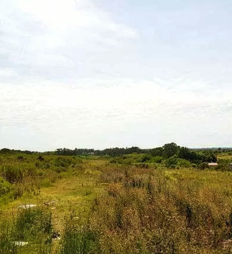 Se Vende Casa Con Campo 3 Padrones Fraccionados Muy Buena Oportunidad De Inversión