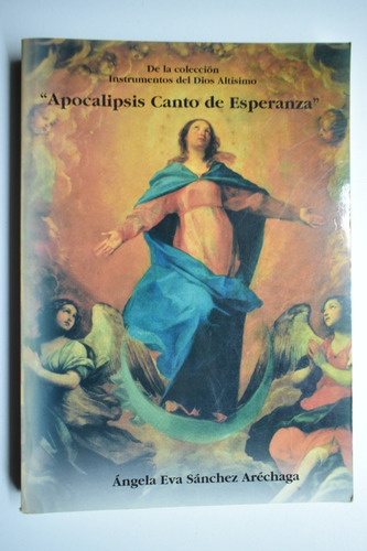 Apocalipsis Canto De Esperanza Á.e.sánchez Aréchaga C167 (Usado)