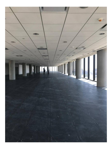 Imagen 14 de 20 de Oficinas Alquiler Catalinas