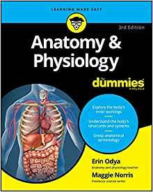 Anatomy And Physiology For Dummies, 3rd Edition (for Dummies