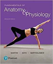 Fundamentals Of Anatomy  Y  Physiology Plus Mastering A Y P 
