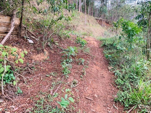 Imagem 9 de 13 de Terreno Com 4754 M² No Vale Alpino - Te00366 - 68851060