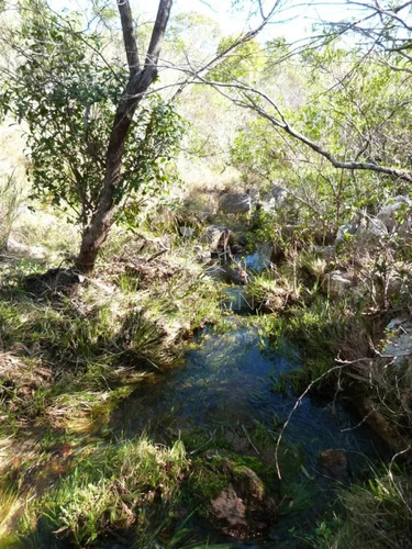 Campo Cerca Ruta 39 En Las Cañas