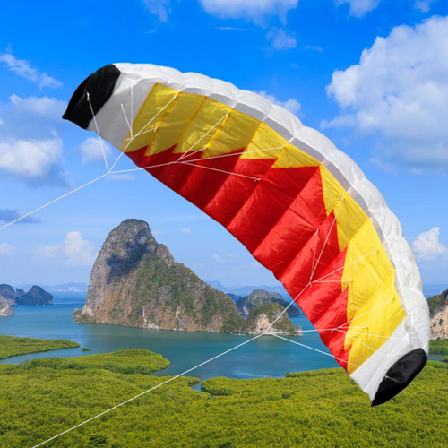 Kite Acrobatic Sport Kite 78 Profesional Fácil De Divertir