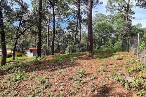 Imagen 4 de 5 de Terreno En Venta, Semiplano Excelente Para Casa De Descanso.