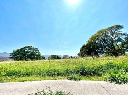 Imagen 2 de 10 de Terreno En Venta, Fluvial Vallarta, Puerto Vallarta