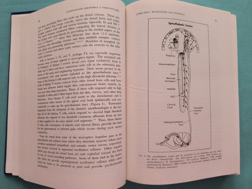 Anestesia Obstétrica Y Perinatología (Usado)